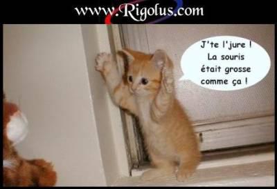 tu imagine la taille!